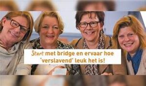 Ontdek bridge – denk, speel en ontmoet